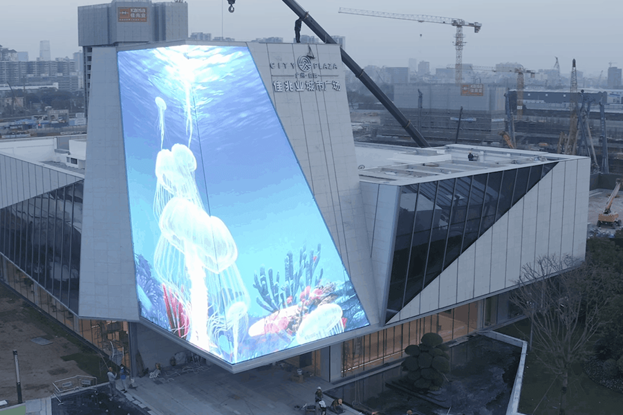 這個巨型LED水缸，竟然在街頭養起了海洋生物？